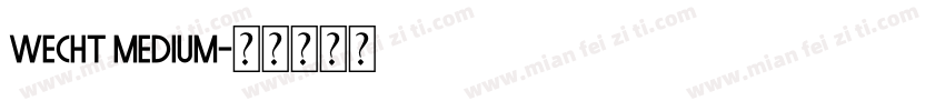 Wecht Medium字体转换
